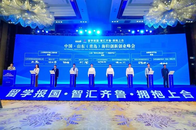 李帅帅,公司经营范围包括:一般项目:网络技术服务;技术服务
